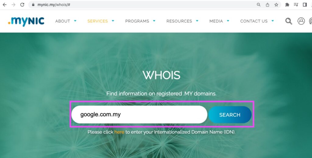 mynic .com.my domain name whois search